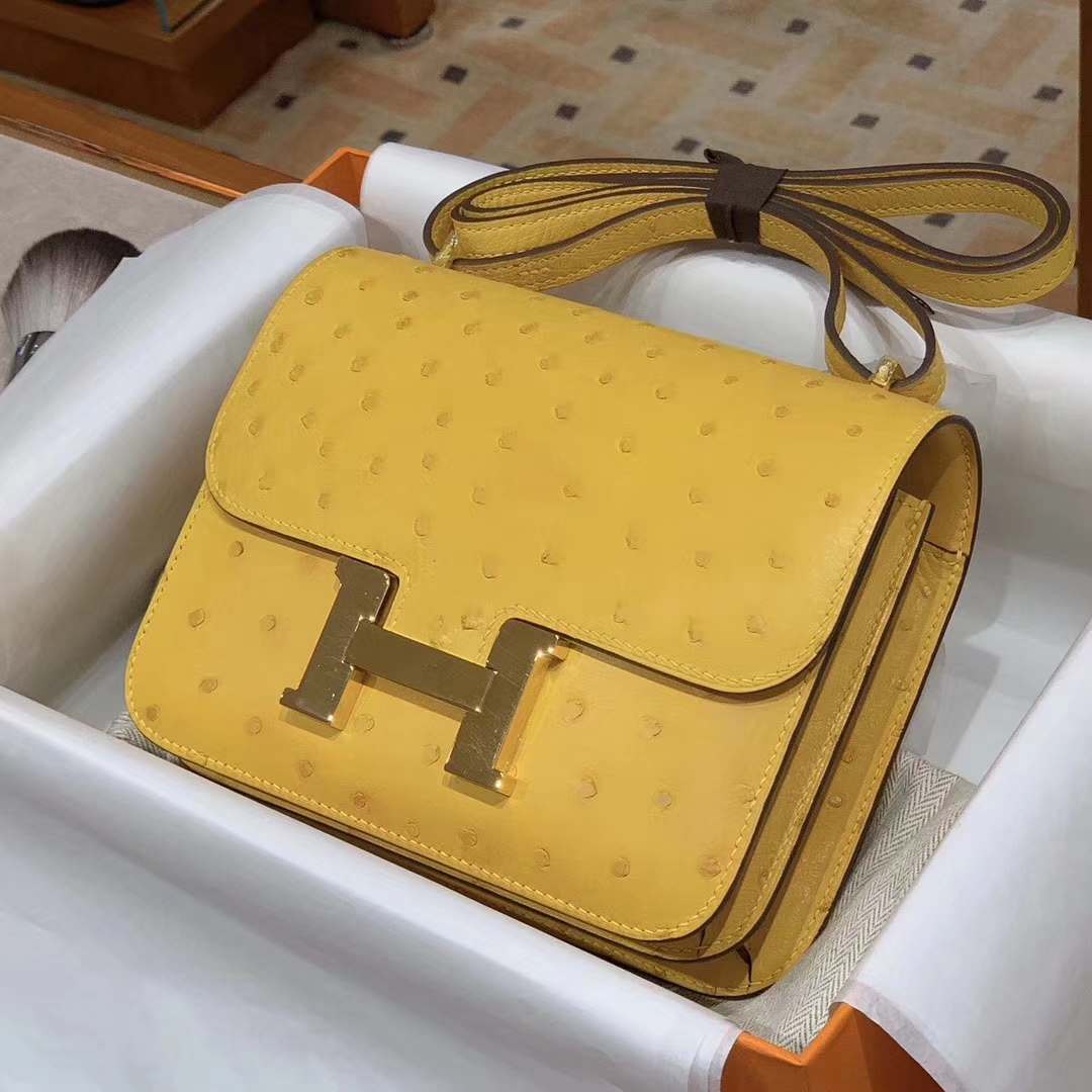 HERMES Constance 19CM 24CM 鸵鸟皮 现货