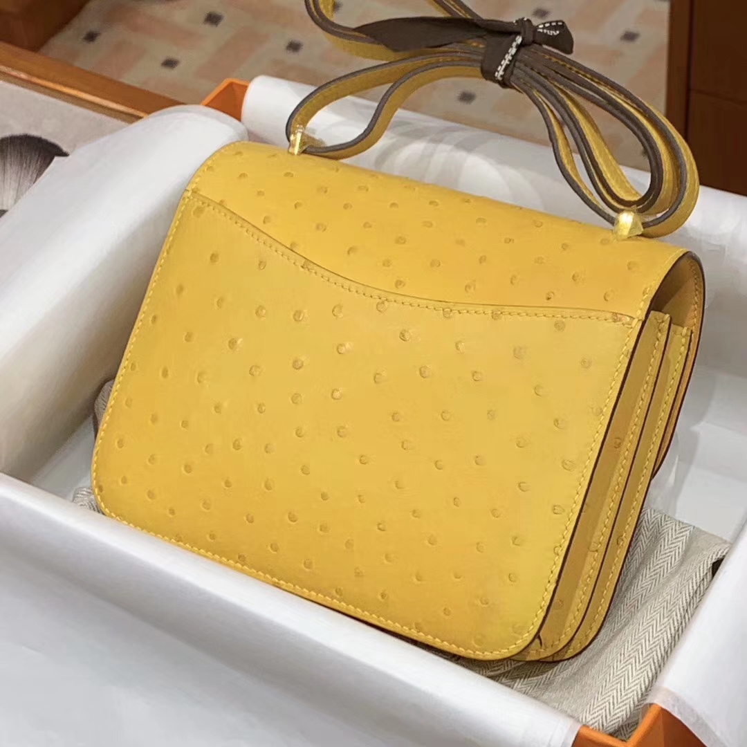 HERMES Constance 19CM 24CM 鸵鸟皮 现货