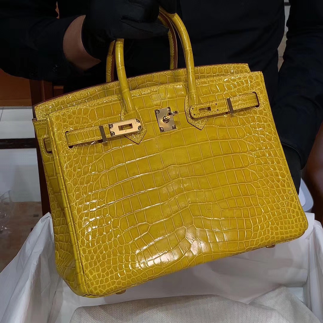 HERMES 爱马仕 铂金包 Birkin 原厂鳄鱼 纯手工 喜马拉雅 金扣 配专柜全套包装