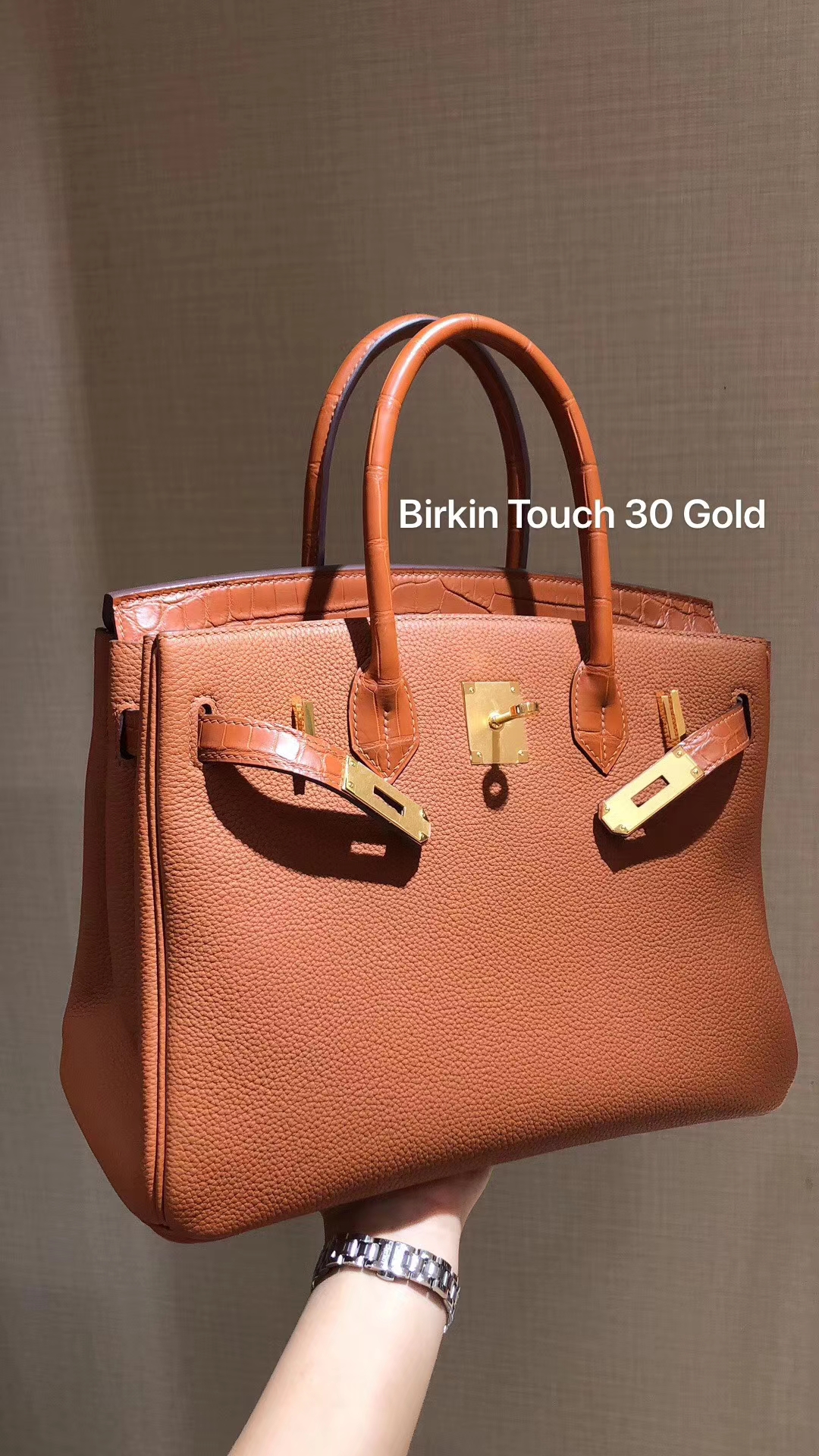 爱马仕女包价格 Birkin Touch 30  Togo & Aligator  最完美的拼皮 ，最经典的颜色